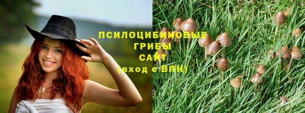 трава Алзамай
