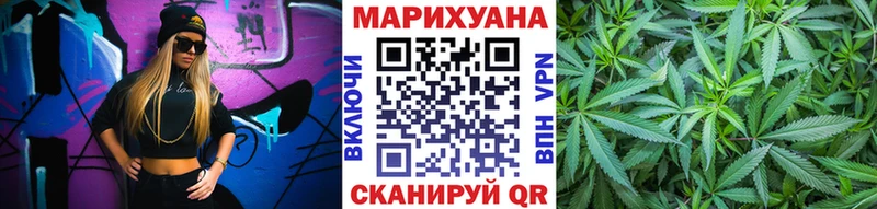 купить закладку  Жиздра  Шишки марихуана сатива 